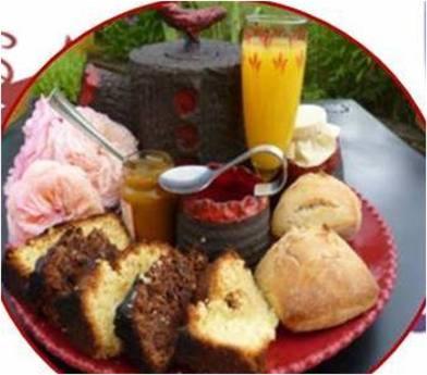 Bed and Breakfast Le Nid Perche Saint-Sauveur-en-Puisaye Zewnętrze zdjęcie